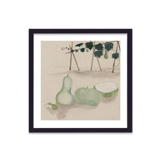 Vintage Japanese Vegetable Squash 1 by Vouvart - Picture Frame Painting