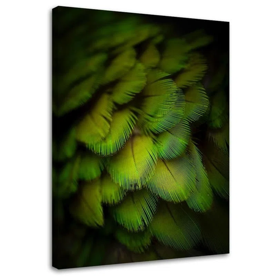 Canvas Print Feathers Nature Green