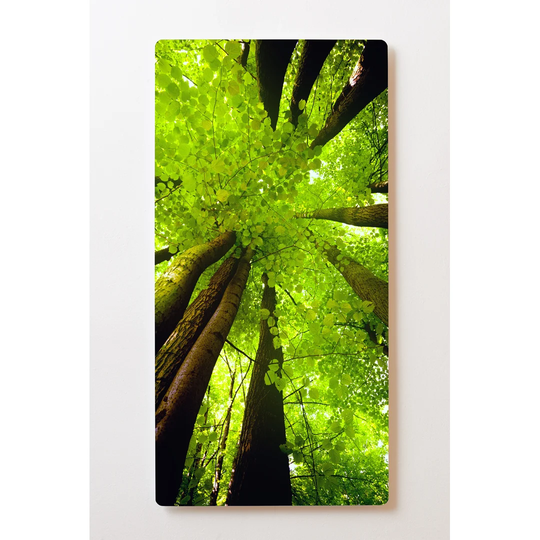 Backlight Motive Wall Picture Trees Magnetic Cork Board