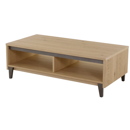 SanderSon Coffee Table
