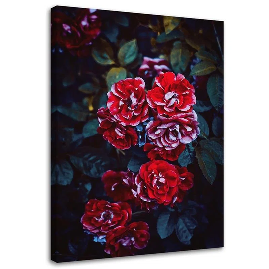 Canvas Print Flowers Red Nature