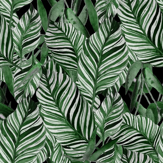 Zyon Wallpaper