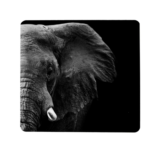 Elephant Magnetic Wall Mounted Magnetic Board