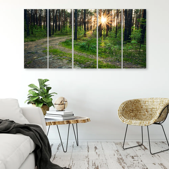 Forest Nature Road Landscape