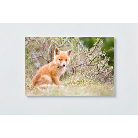 Fox Motif Magnetic Wall Mounted Cork Board