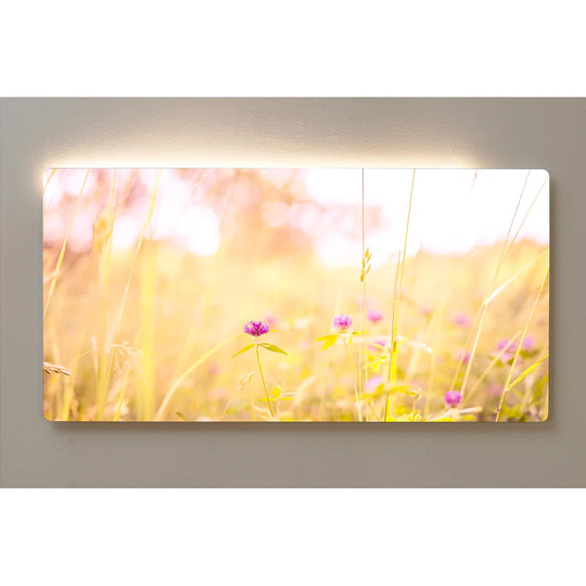 Backlight Motive Wall Picture Meadow Flowers Magnetic Cork Board