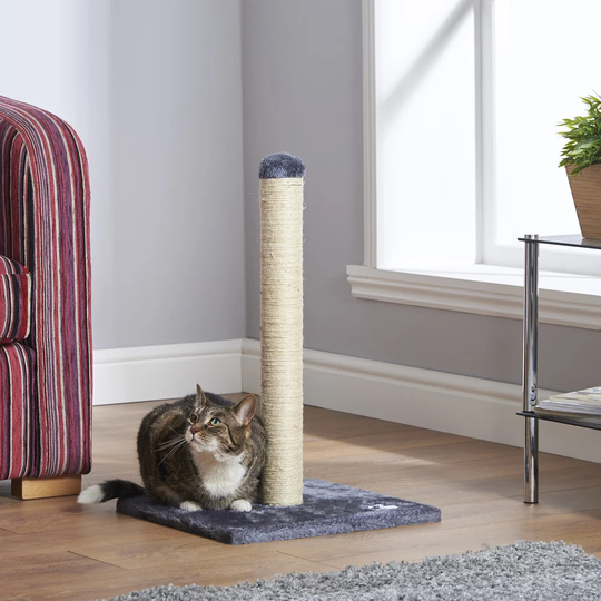 Cat Marauder Scratching Post