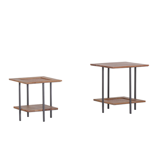 Hannigan 2 Piece Nest of Tables