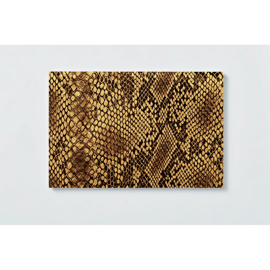 Snakeskin Motif Magnetic Wall Mounted Cork Board