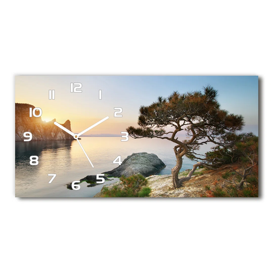 Janon Silent Wall Clock