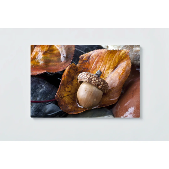 Oak Leaves Magnetic Wall Mounted Cork Board