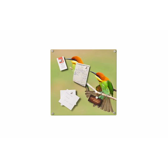 Birds Magnetic Wall Mounted Photo Memo Board
