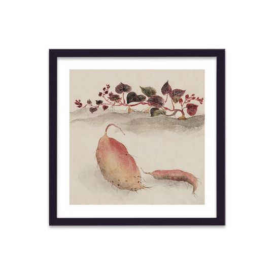 Vintage Japanese Vegetable Sweet Potato by Vouvart - Picture Frame Painting