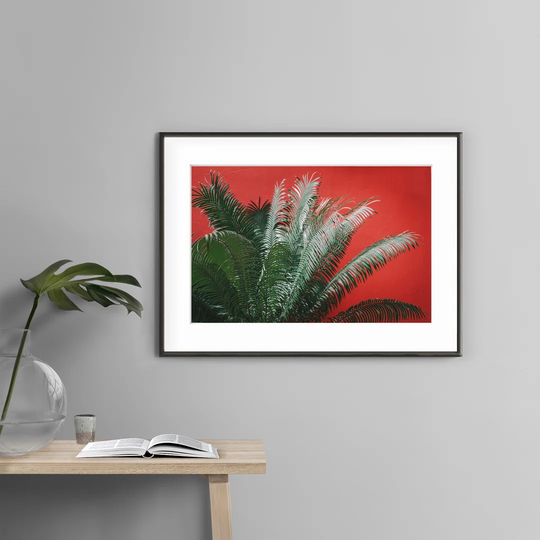 Red Palm - Picture Frame Photograph Print on Paper