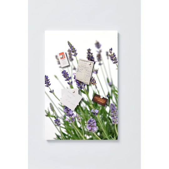 Lavender Magnetic Wall Mounted Cork Board