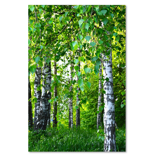 Canvas Print, Green Landscapes 16365