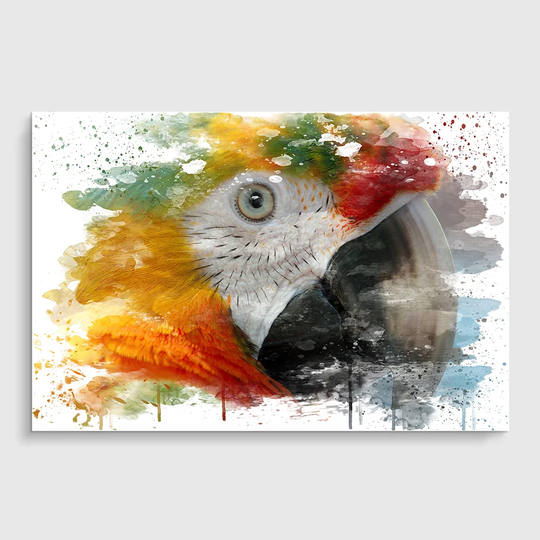'Macaw Parrot Bird' Graphic Art Print Poster