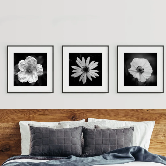Flowers Triptych - 3 Piece Picture Frame Photograph Print Set on Paper