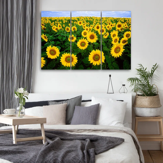 Canvas Print Sunflowers Meadow