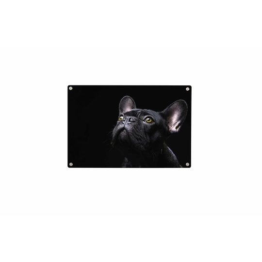 French Bulldog Magnetic Wall Mounted Photo Memo Board