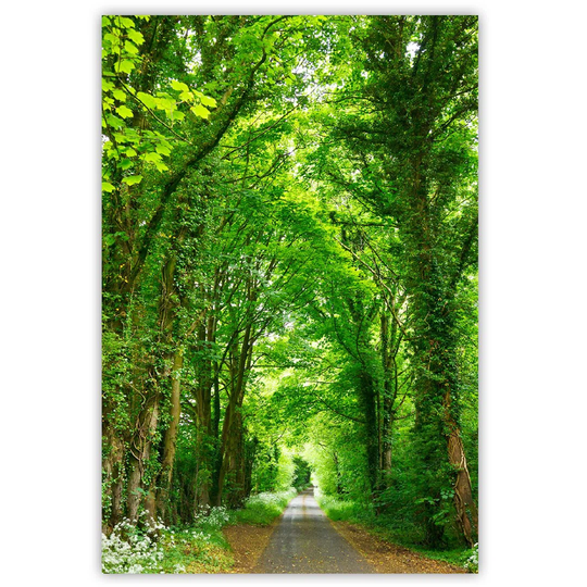 Canvas Print, Nature Green 16293