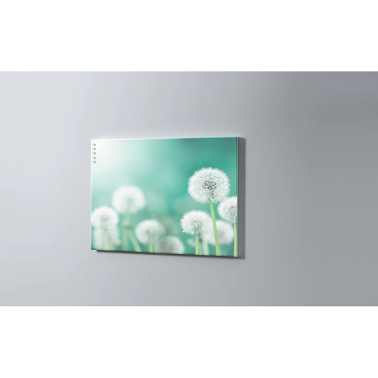 Blowball Magnetic Wall Mounted Cork Board