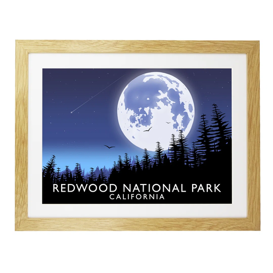 Redwood National Park by Richard O'Neil - Graphic Art Print on Paper