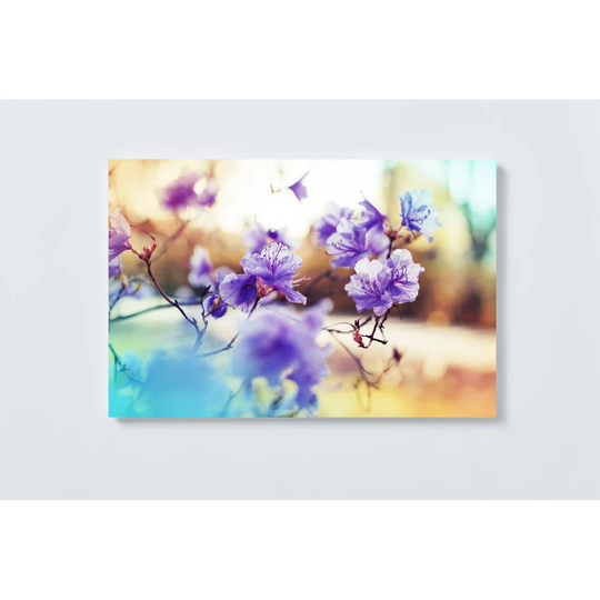 Flower Magnetic Wall Mounted Cork Board