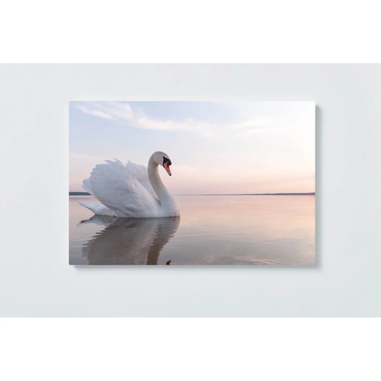 Swan Motif Magnetic Wall Mounted Cork Board