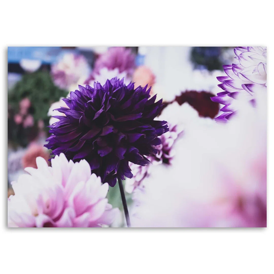 Canvas Print Dahlia Flowers Nature