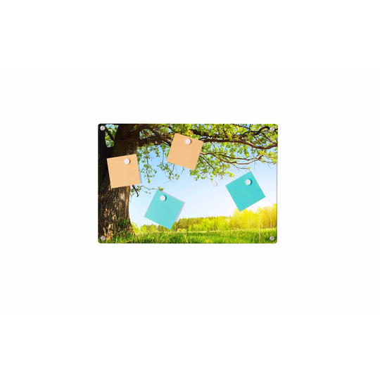 Tree Meadow Magnetic Wall Mounted Photo Memo Board