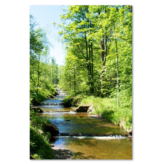 Canvas Print, Green Landscapes 16361