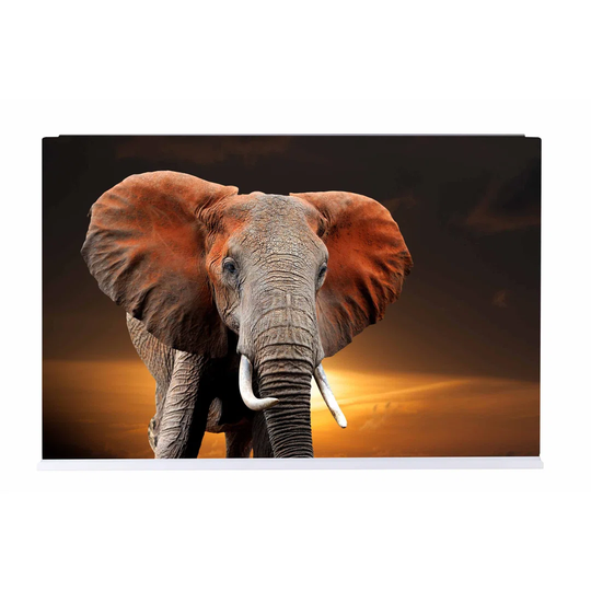 Elephant Magnetic Wall Mounted Photo Memo Board