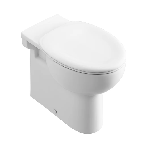 Ramirez Back to Wall Toilet with Flush
