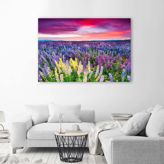 Canvas Print Lavender Fields Nature