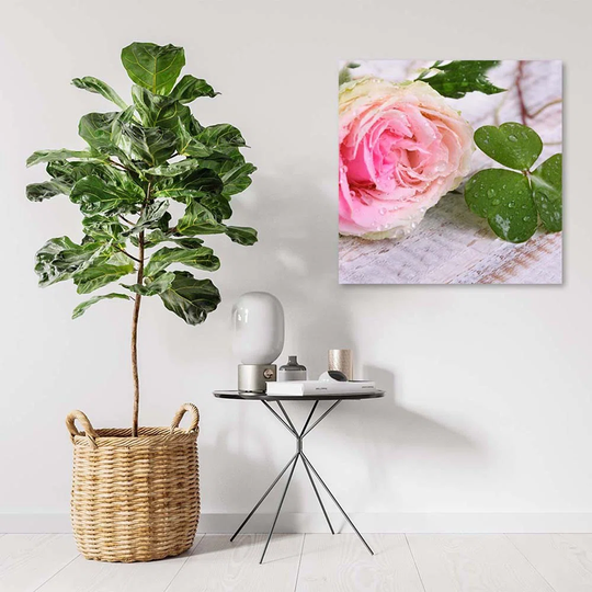 Canvas Print Pink Rose Flower Nature