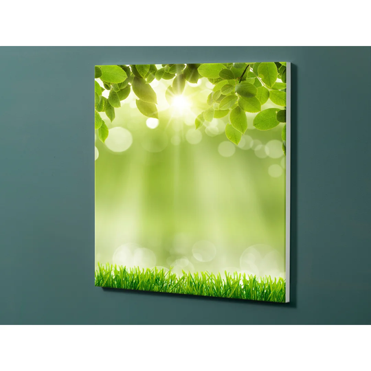 Notiz Motive Meadow Flowers Magnetic Wall Mounted Cork Board