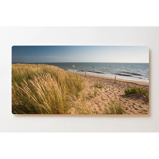 Backlight Motive Wall Picture Beach Dune Magnetic Cork Board