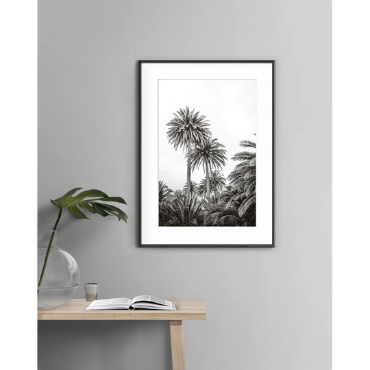 Haria - Picture Frame Photograph Print on Paper