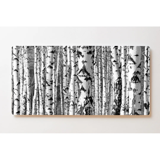 Backlight Motif Wall Picture Birch Forest Magnetic Cork Board