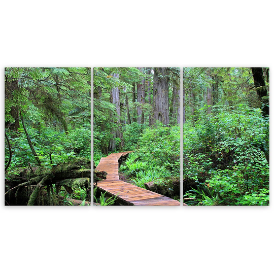 Canvas Print Rainforest Waterfall