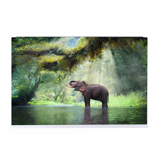 Elephant Magnetic Wall Mounted Photo Memo Board