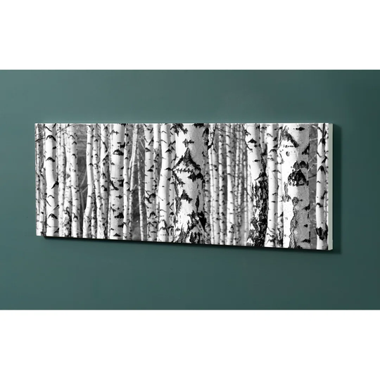 Notiz Motive Birch Forest Magnetic Wall Mounted Cork Board