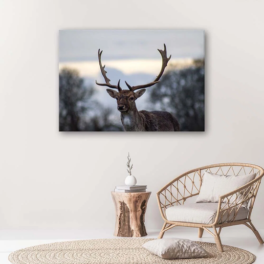 Canvas Print Deer Animals Landscape Nature