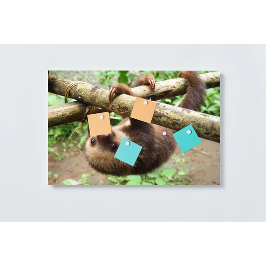 Sloth Magnetic Wall Mounted Cork Board