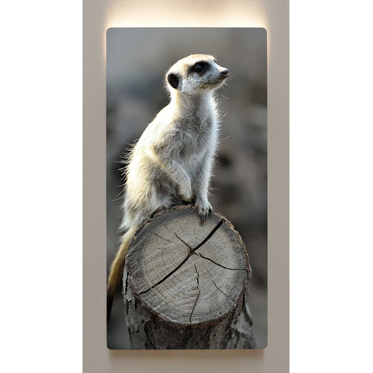 Backlight wall art M116 metal picture motif 60 x 120cm on a magnetic board