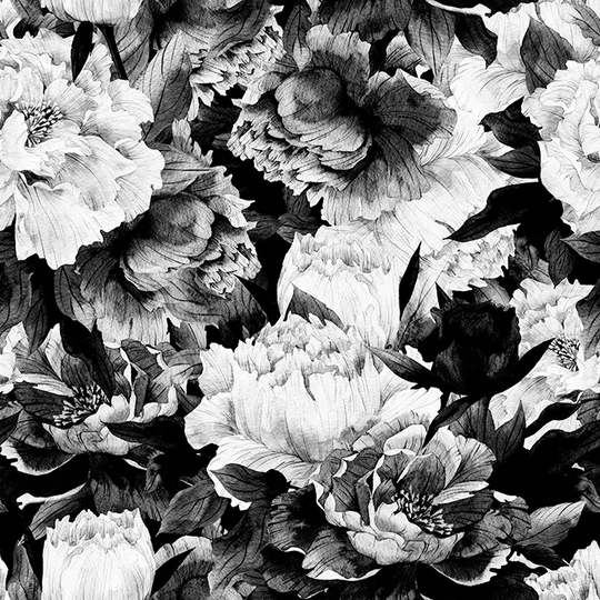 Meliton Wallpaper