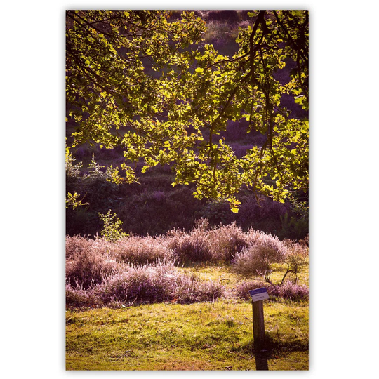 Canvas Print, Green Landscapes 16304