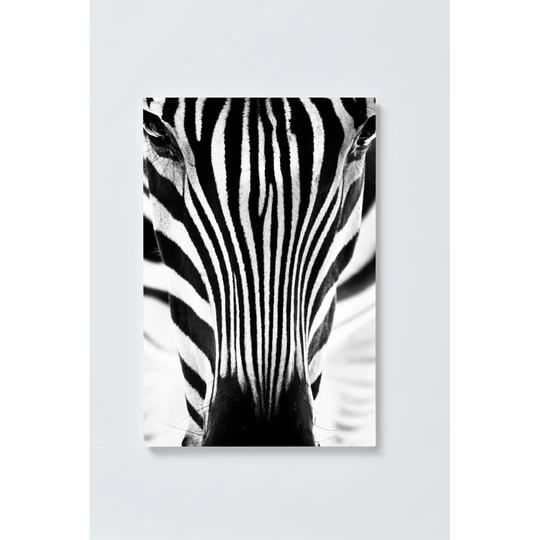 Zebra Magnetic Wall Mounted Cork Board