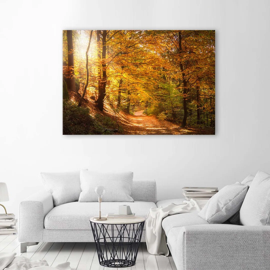 Canvas Print Forest Autumn Landscape Nature
